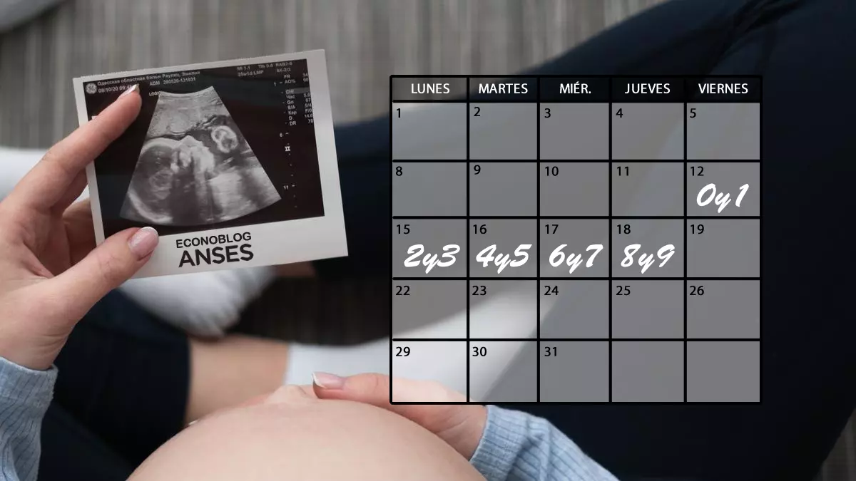 Fechas de pago del prenatal