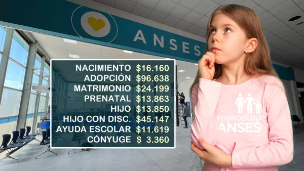 Nuevos montos de Anses para SUAF