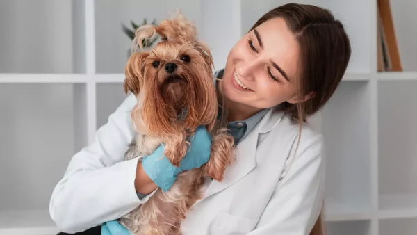 Veterinaria con un perro