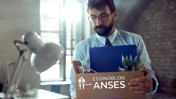 Titular del fondo de desempleo de Anses