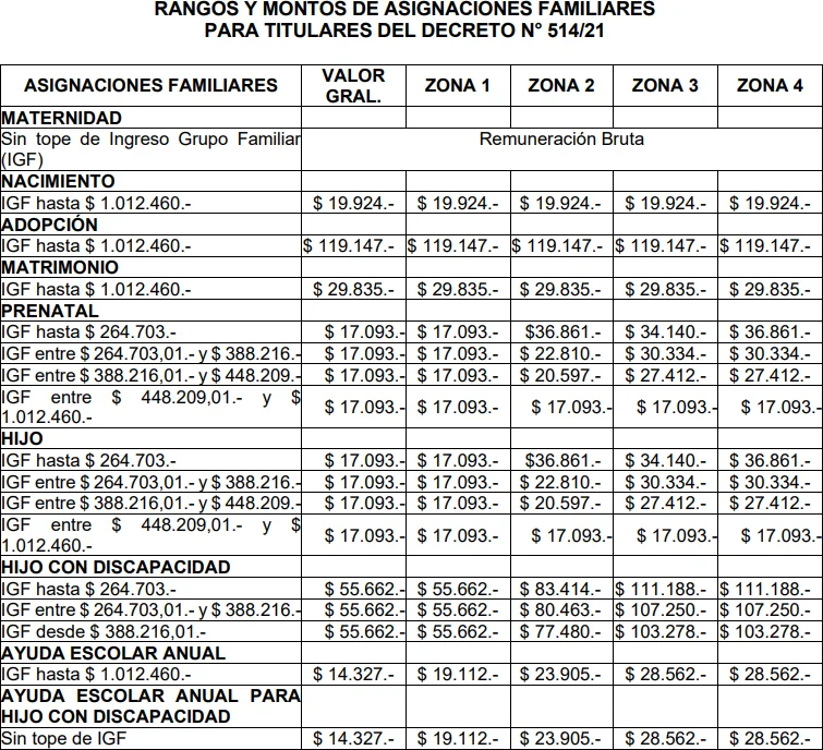 Asignaciones de titulares del Decreto 514/21