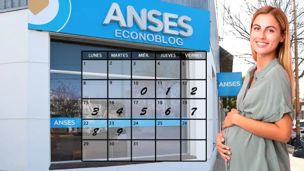 Asignación por embarazo en enero