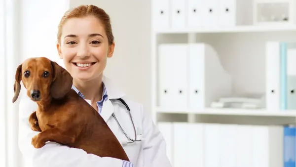 Perro siendo atendido por una veterinaria