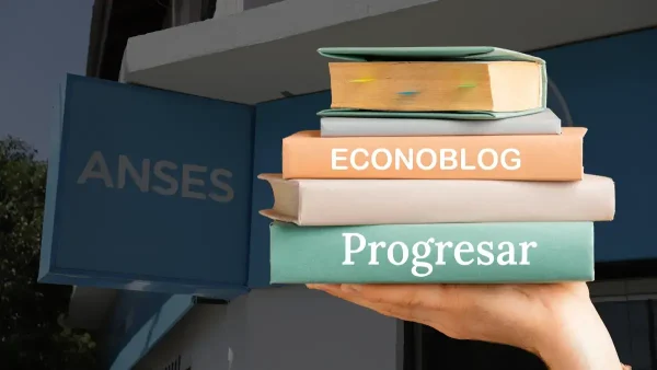 Libros de Progresar en oficina de Anses