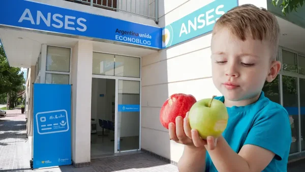 Tarjeta Alimentar en oficina de Anses