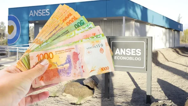 Billetes de pesos en Anses