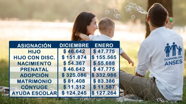 Montos estimativos para enero de 2025