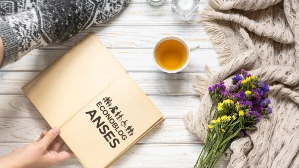 Cuaderno de Anses en invierno
