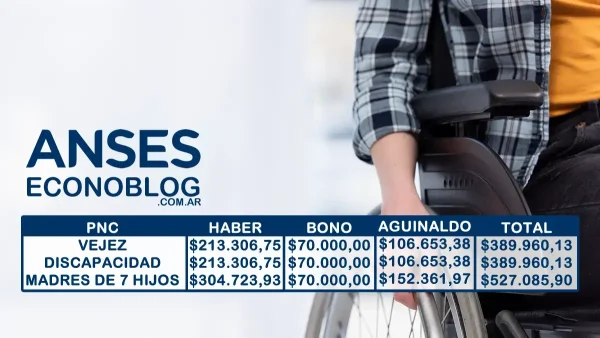 Detalle de los próximos montos
