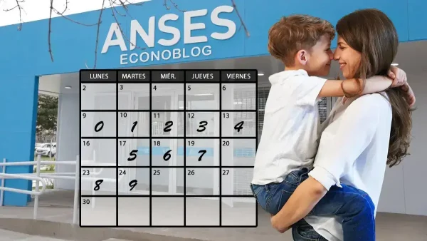 SUAF en junio de 2025