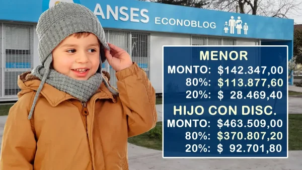Importes de AUH para el sur