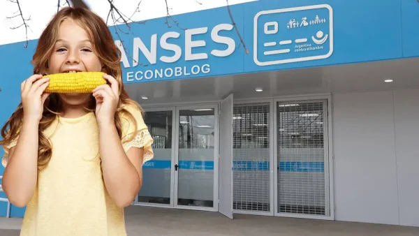 Titular de Tarjeta Alimentar en Anses