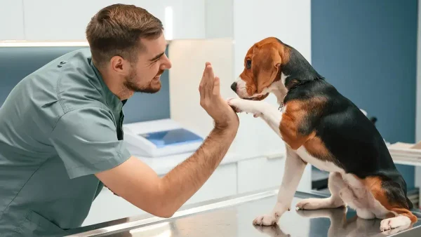 Veterinario con un perro