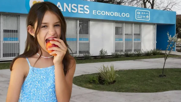 Titular de Tarjeta Alimentar en Anses