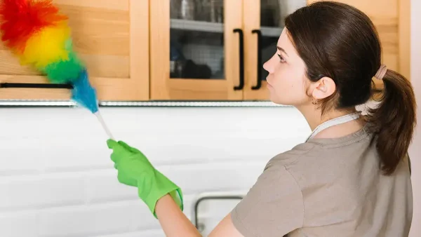Personal del servicio doméstico