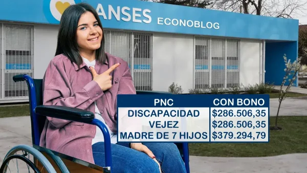 Importes para pensiones no contributivas