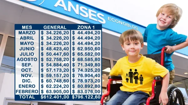 Importes de AUH con discapacidad