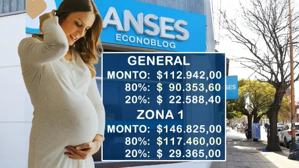 Nuevos montos de asignación por embarazo