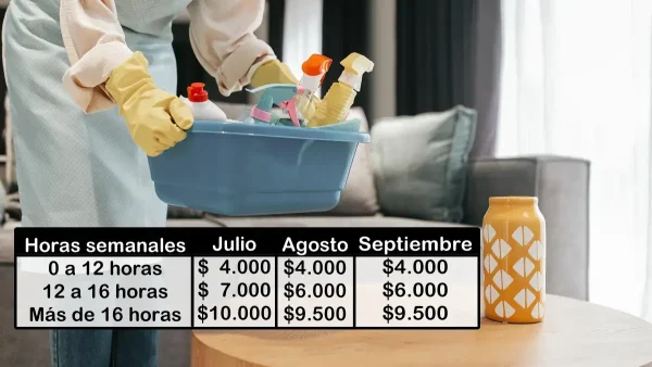 Suma no remunerativa
