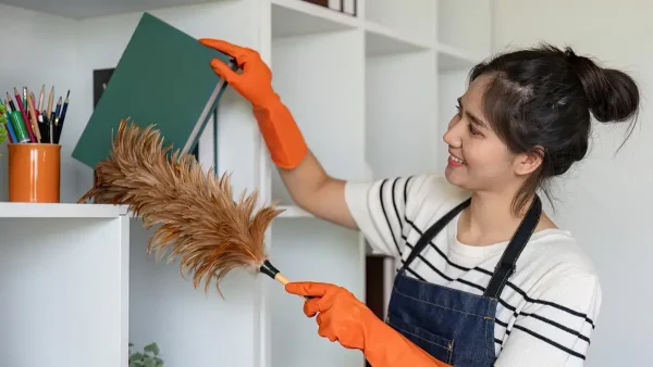 Empleada doméstica trabajando