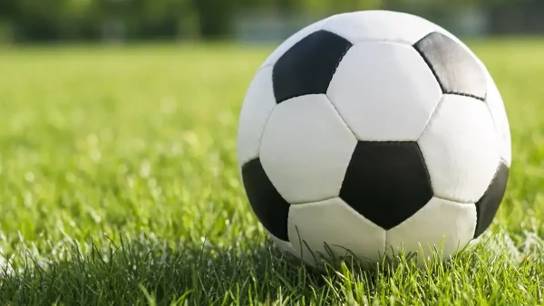 Pelota de fútbol