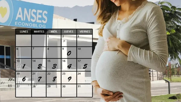 Asignación por embarazo en octubre de 2025