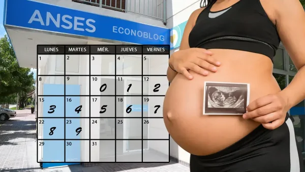 Asignación por embarazo en diciembre de 2025