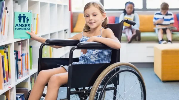 SUAF con discapacidad de Anses