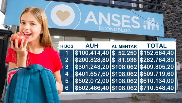 Importes con Tarjeta Alimentar