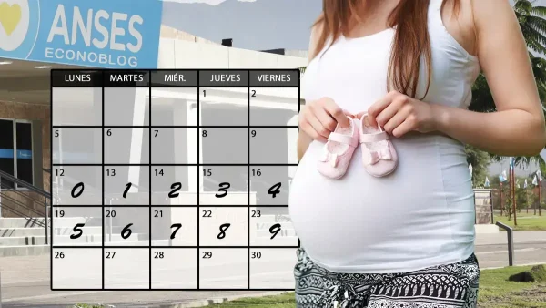 Asignación por embarazo en enero de 2026