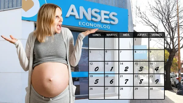 Asignación por embarazo en enero de 2026