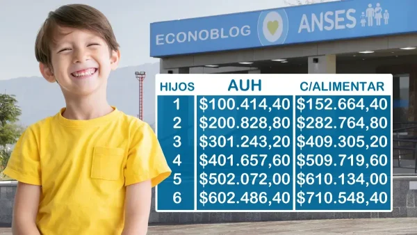 AUH en enero de 2026